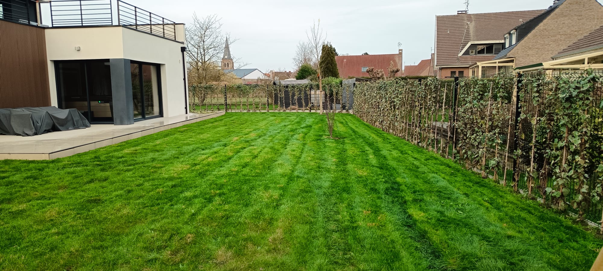 Aménagement extérieur à Lille : jardin moderne avec pelouse verte et haie entourant une maison avec terrasse