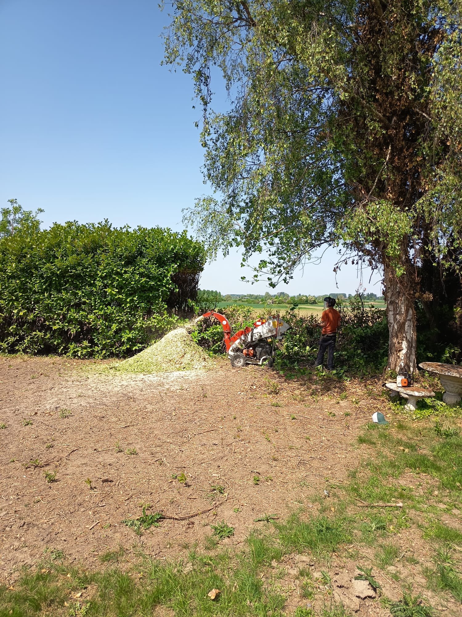 Paysagiste à Lille utilisant un broyeur pour déchiqueter des branches dans un jardin ensoleillé