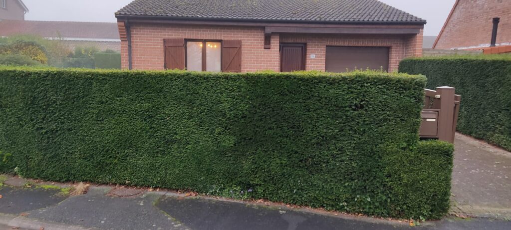 Maison en brique avec haie taillée et allée pavée en extérieur