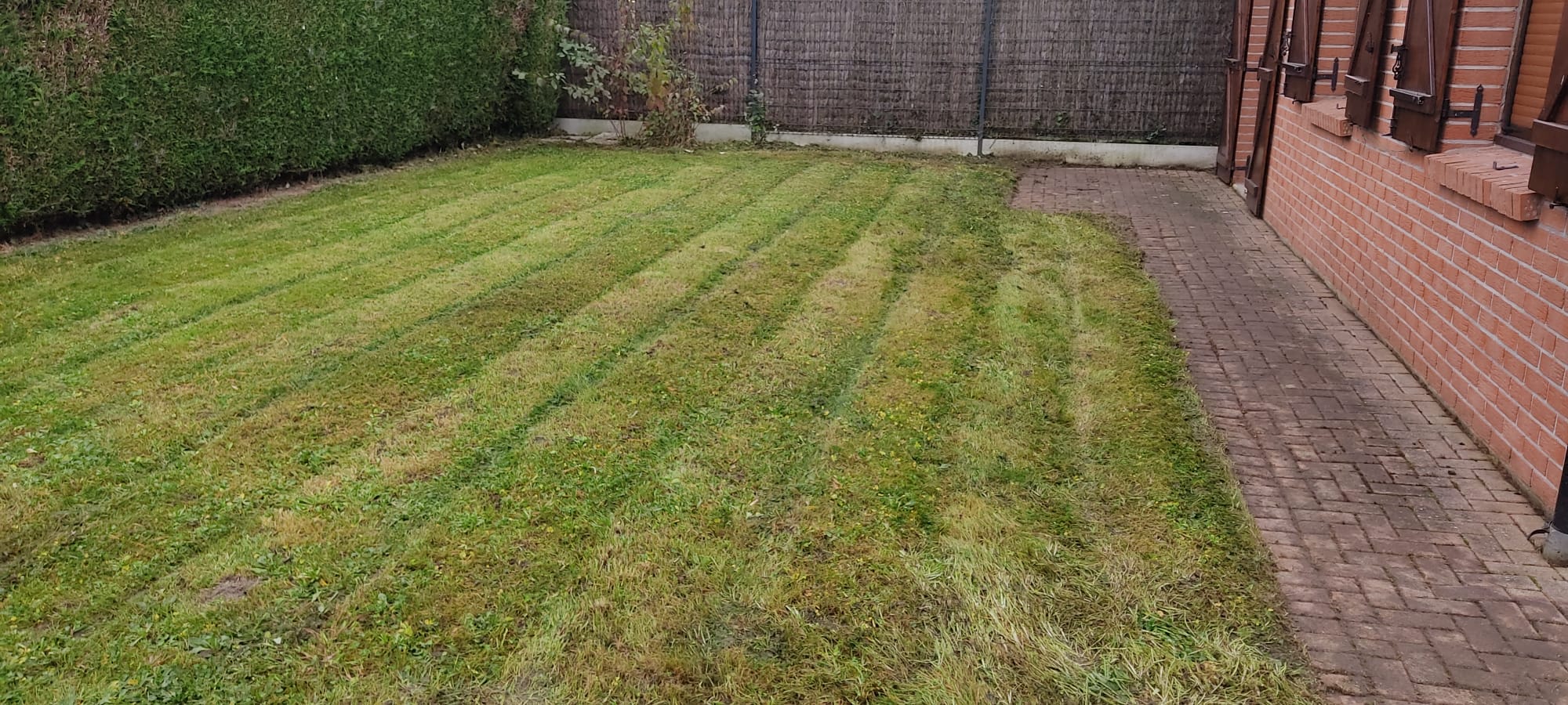 Pelouse tondue par un paysagiste à Lille devant une maison en briques avec allée pavée
