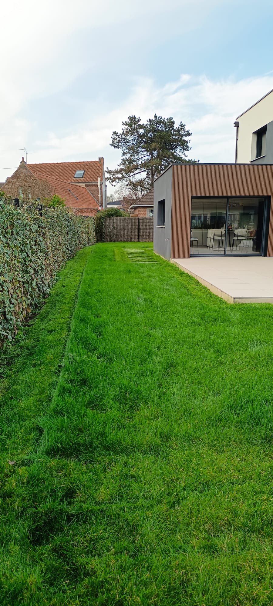Pelouse et haie entretenues par un paysagiste à Lille devant une maison moderne avec terrasse